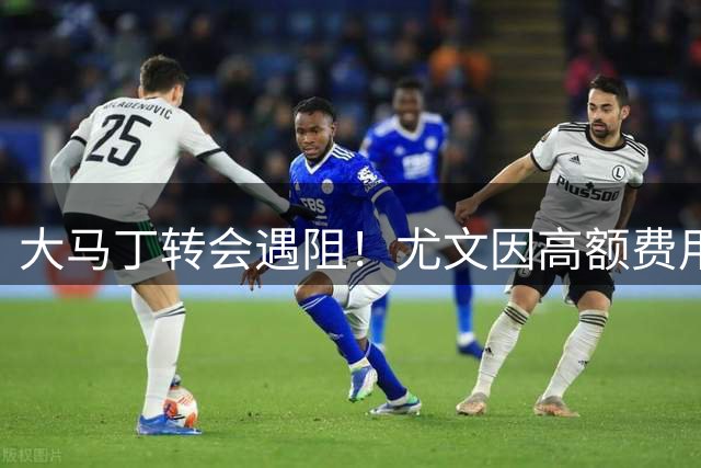 大马丁转会遇阻！尤文因高额费用放弃维拉门神