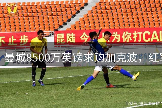 曼城8500万英镑求购加克波，红军寻觅替代者后放人